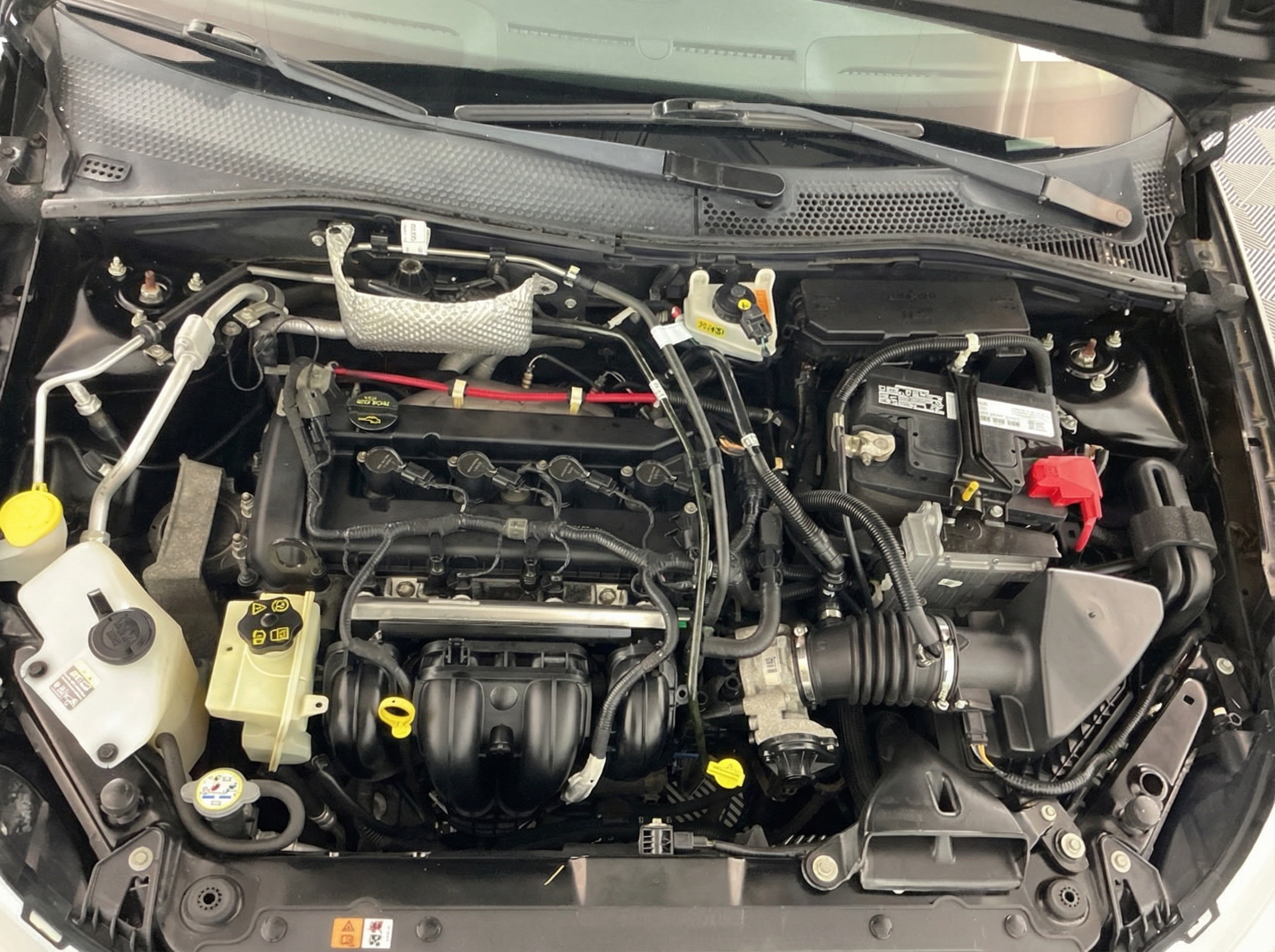 2008 Ford Focus — photo 11