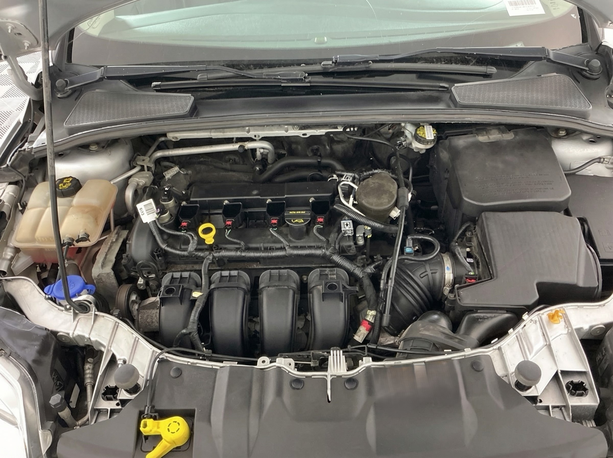 2014 Ford Focus — photo 15